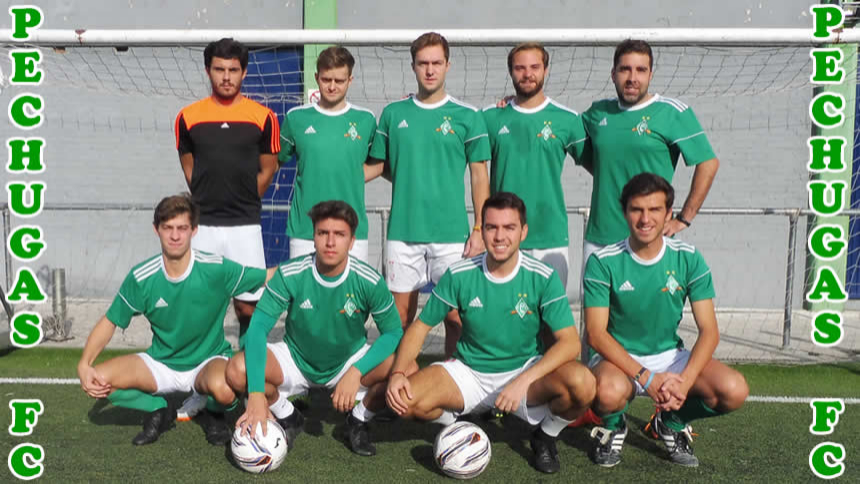 CUADRO DE HONOR; POZUELO DOMINGOS